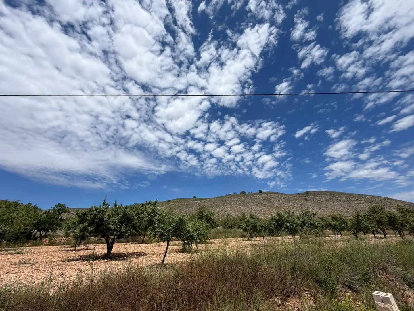 Villa à vendre à Petrer, imagen 47