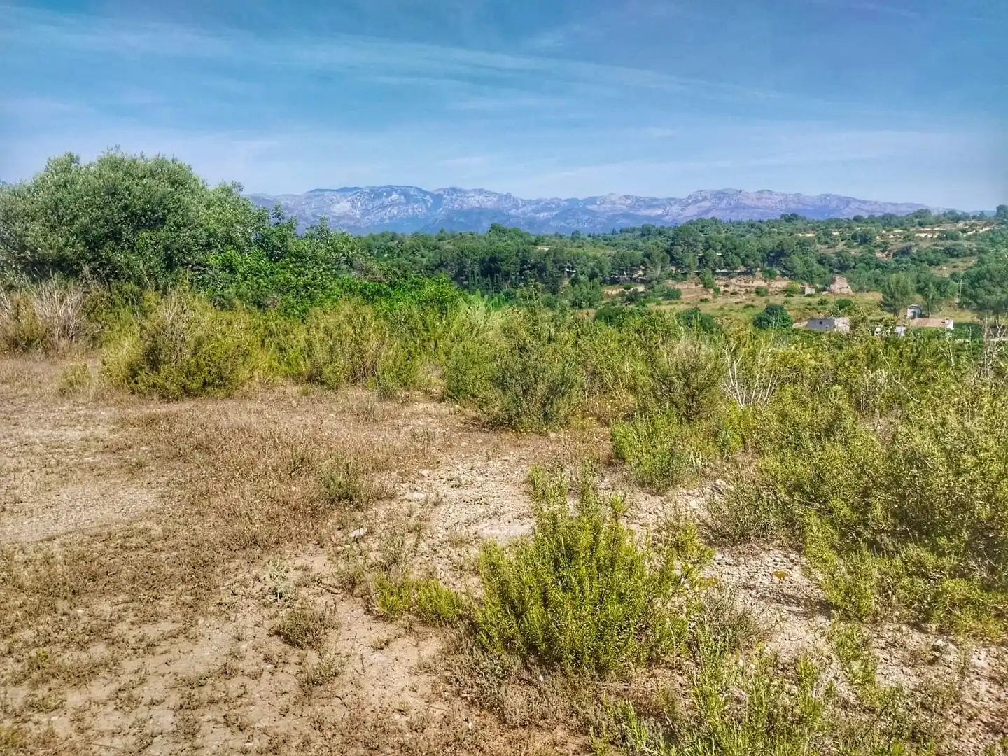 Terrain rustique à vendre à Roquetes, imagen 6