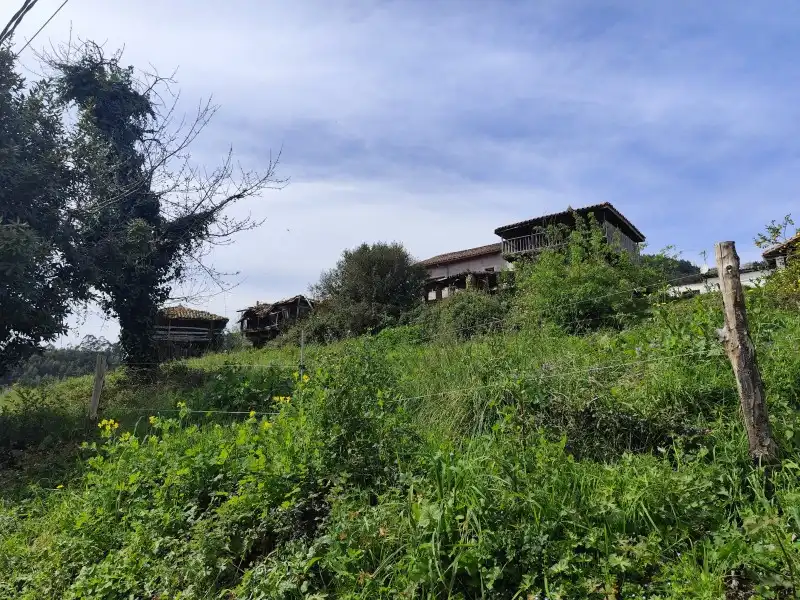 Finca rústica en venda a N/A, -1, Pravia