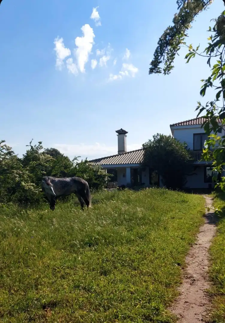 Jardín de Terreno en venta en Casatejada