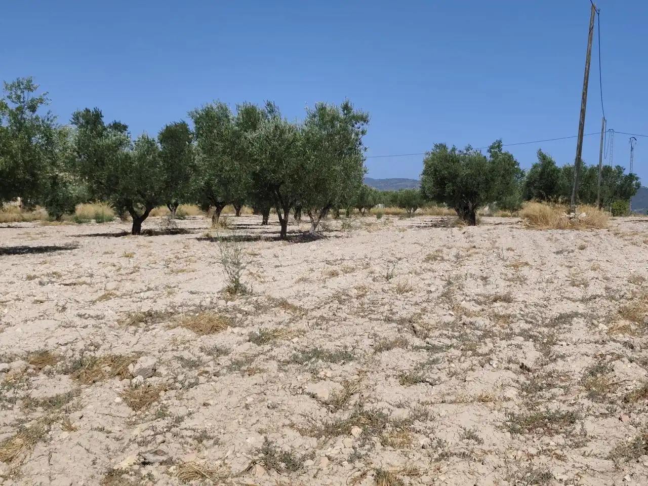 Terreno rustico in vendita a Castalla, imagen 15