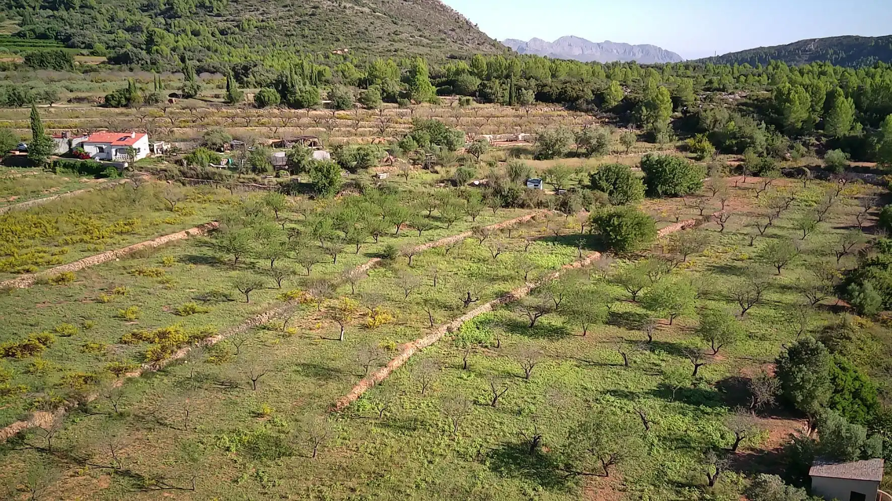 Terrenys i solars en venda a Murla