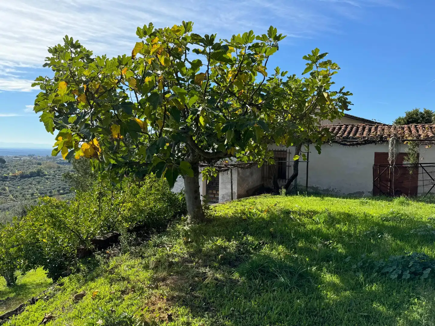 Jardín de Finca rústica en venta en Candeleda con Jardín privado