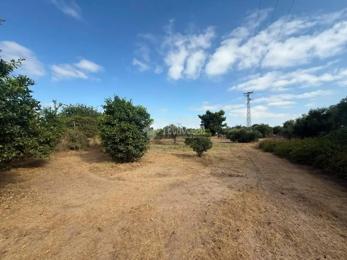 Finca rústica en venda en Arahal amb Piscina