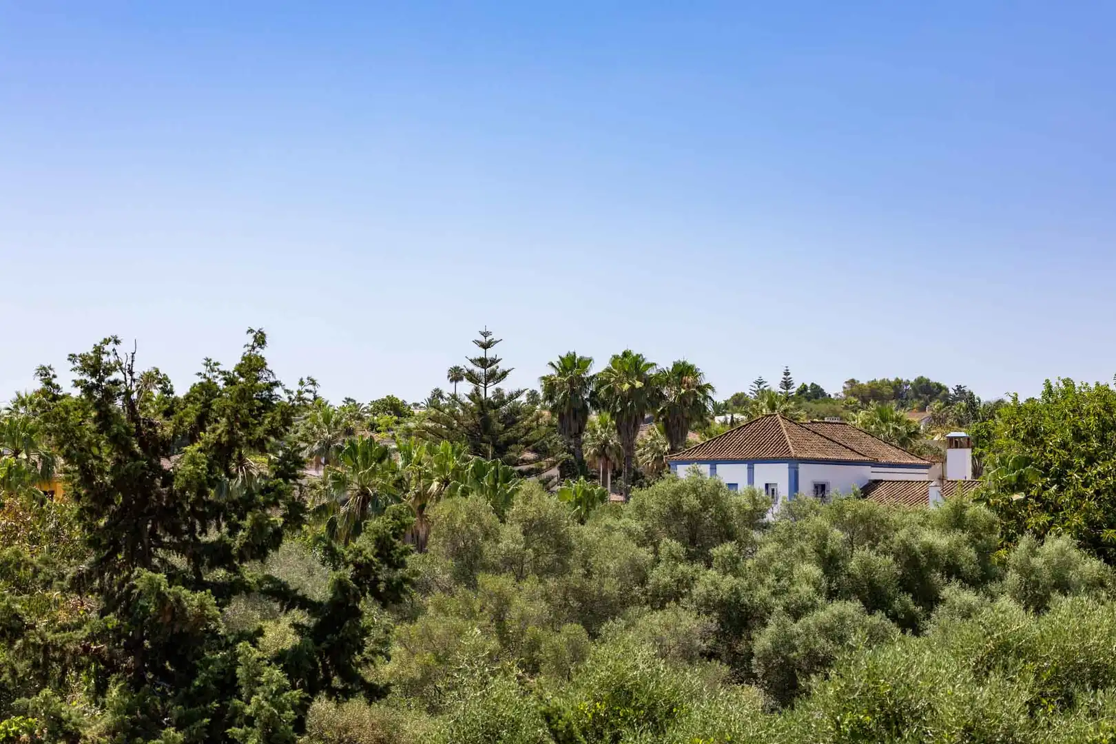 Haus mit Pool zum Verkauf in Sotogrande Costa, imagen 25