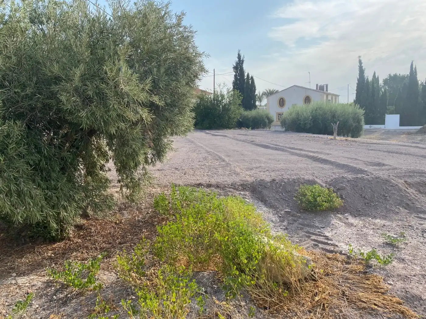 Casa o chalet en venta en Lorca