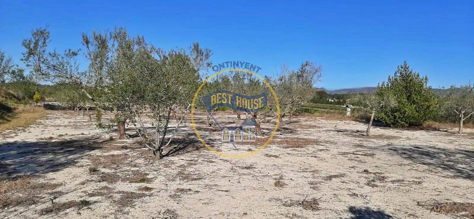Finca rústica en venda en Albaida amb Traster i Piscina