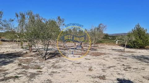 Photo 3 of Country house for sale in Albaida, Valencia