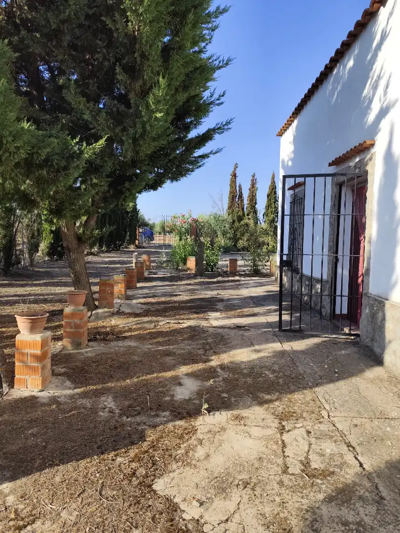 Terreno rustico in vendita a Fuente del Maestre, imagen 7