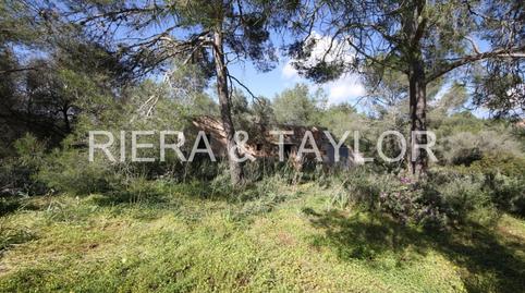 Photo 4 of Land for sale in Portopetro, Illes Balears