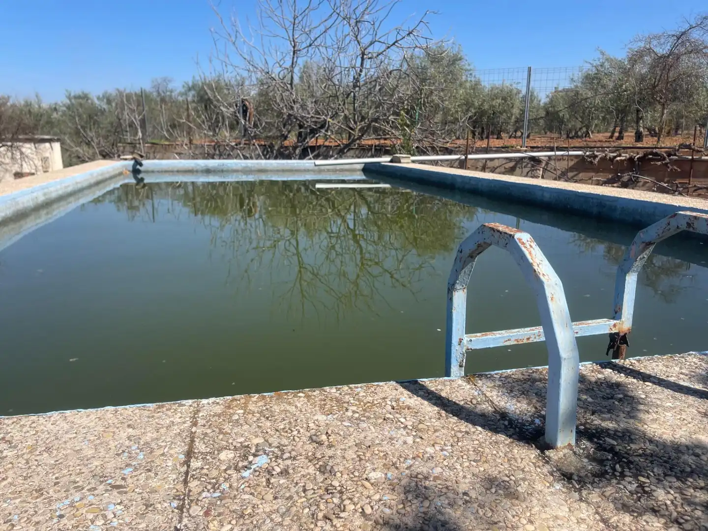 Piscina de Finca rústica en venda en Albolote amb Piscina