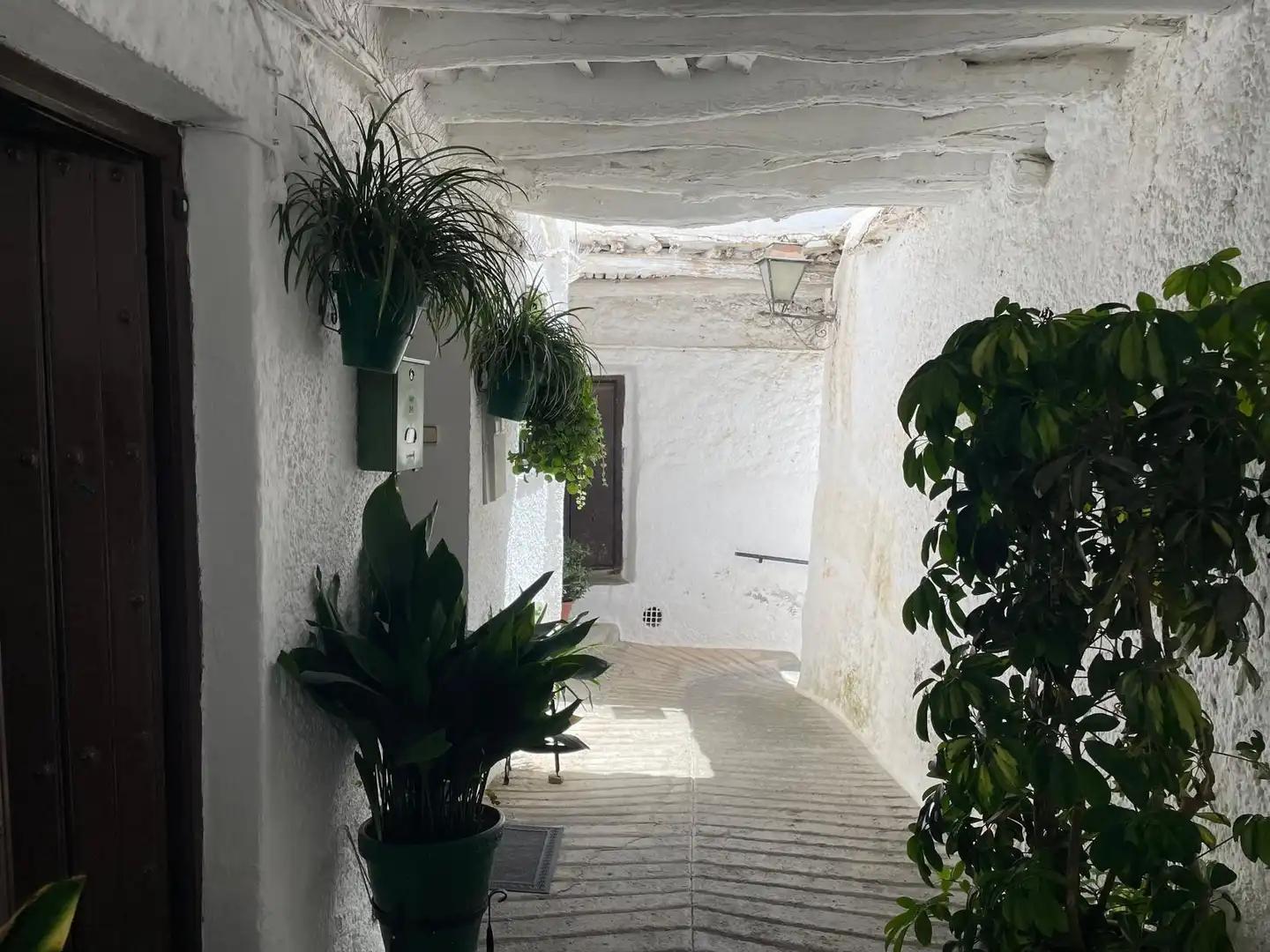 Finca rústica en venta en Capileira