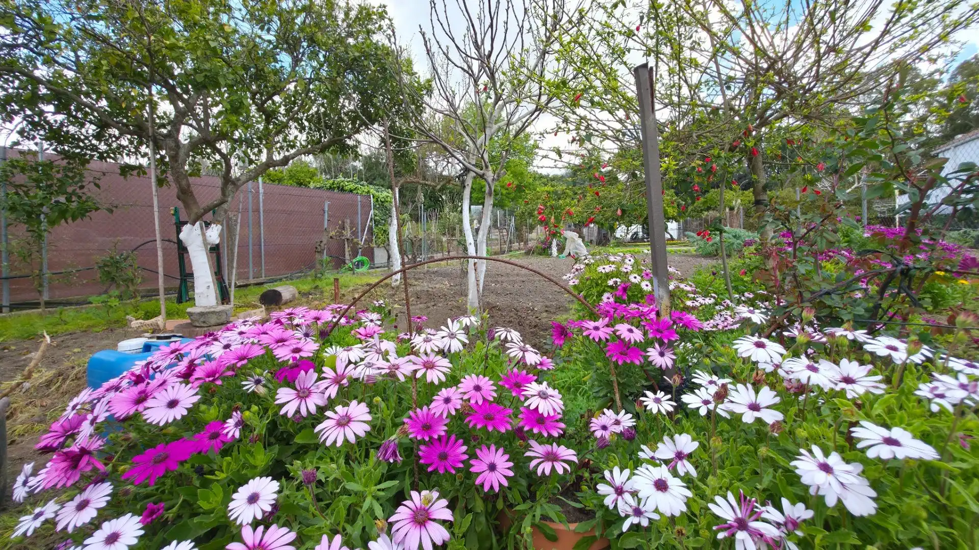Garden of Houses for sale in Arcos de la Frontera  with Private garden and Storage room