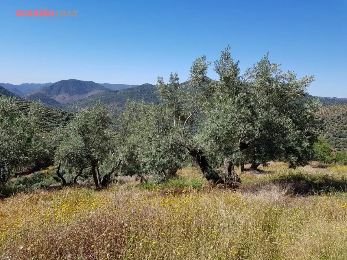 Finca rústica en venta en Villanueva de Córdoba con Jardín privado, Trastero y Amueblado