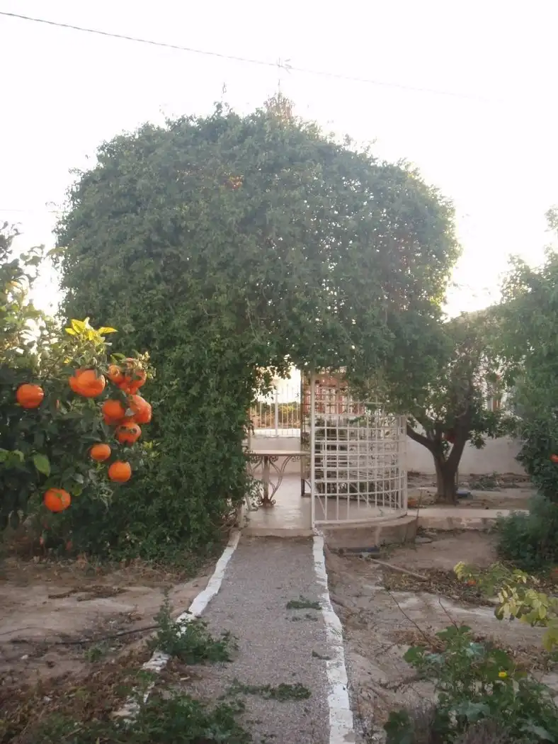 Jardí de Casa o xalet en venda en Cartagena amb Aire condicionat, Calefacció i Terrassa