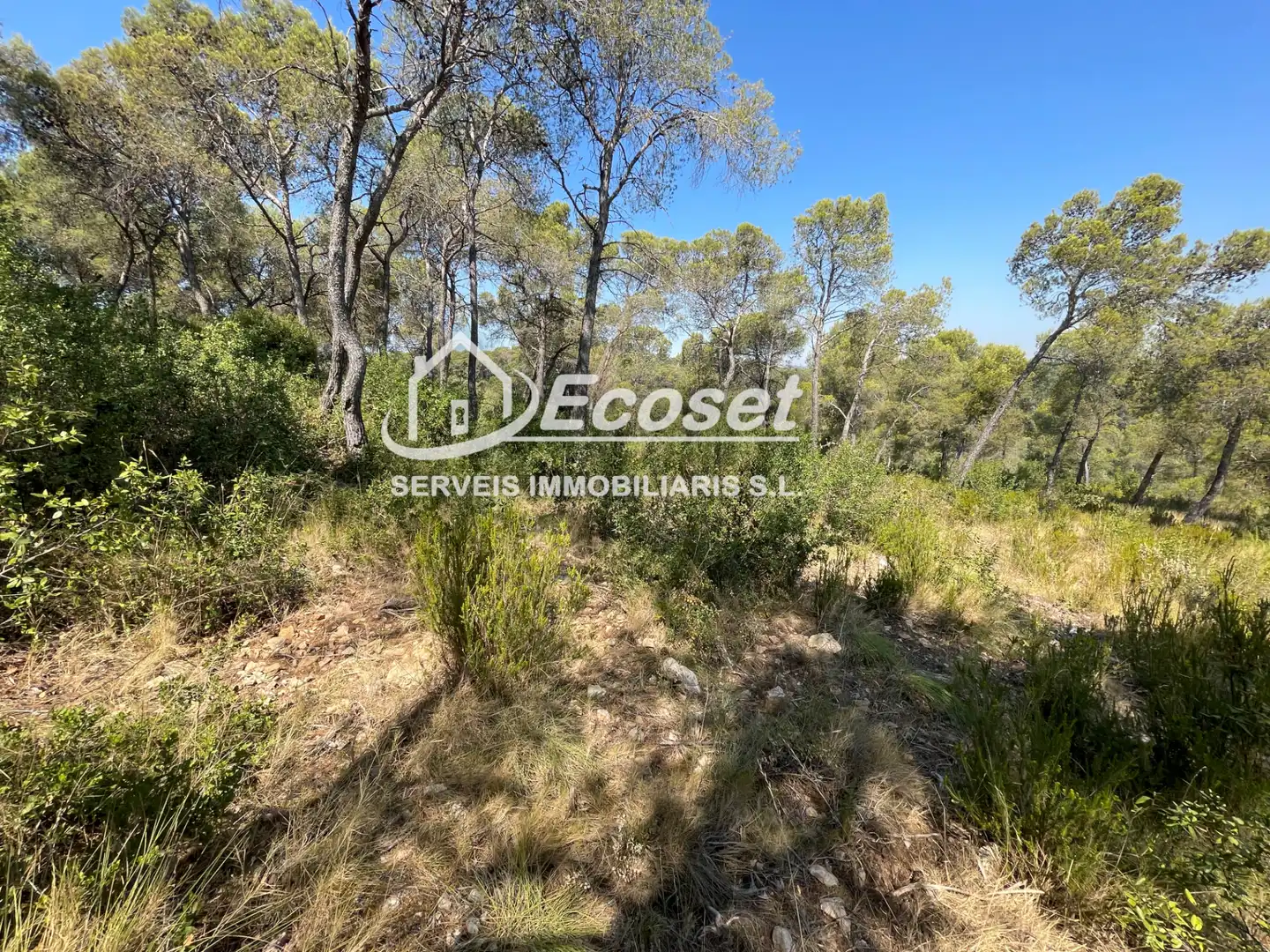 Residencial en venta en Cervelló