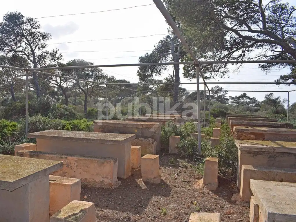 Finca rústica en venta en Carretera 39°21'47.0\"N 2°47'26.8\"E, Cala Pi - Vallgornera