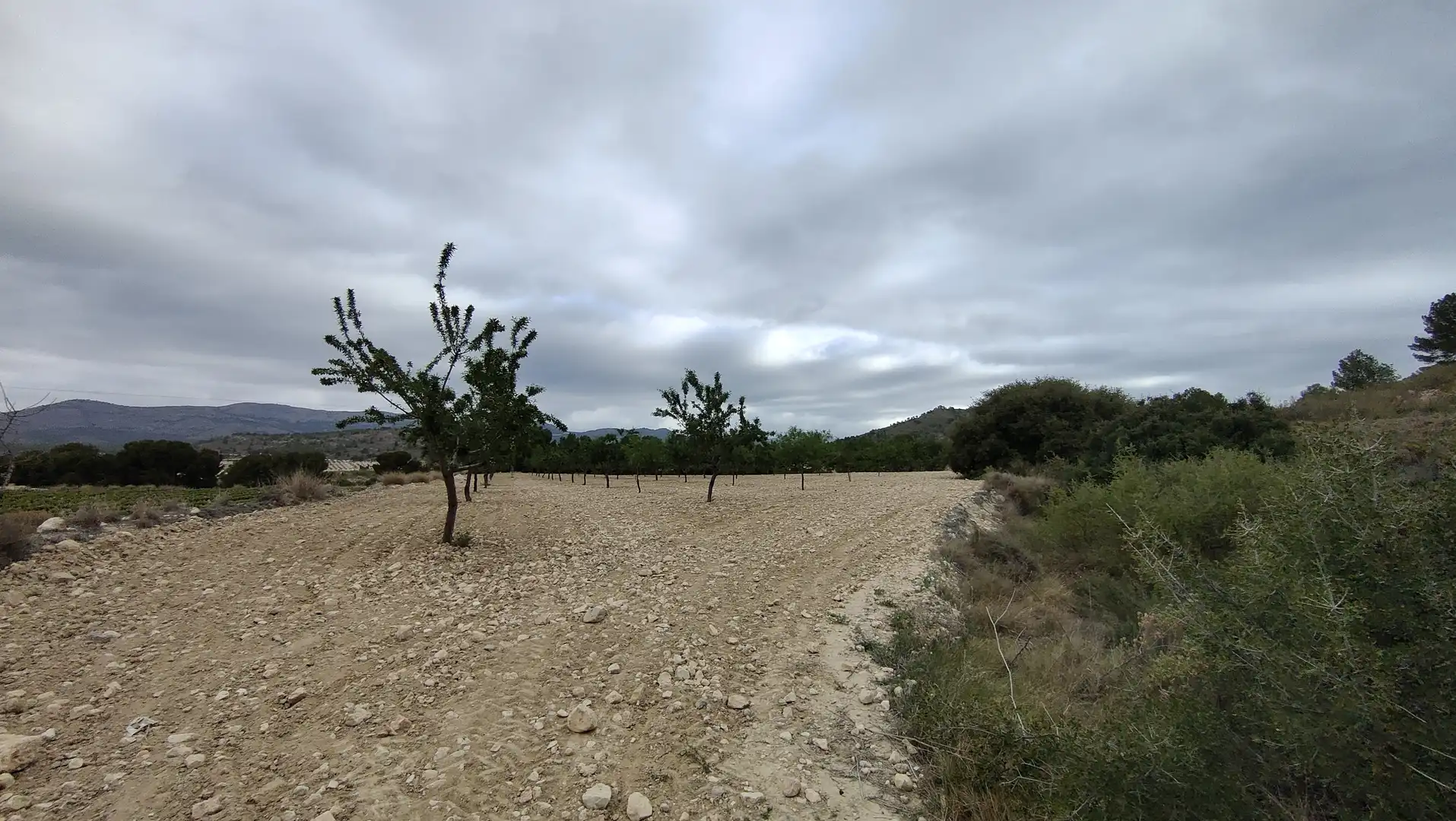 Terreno rustico in vendita a Plaça Poligono 3 271, imagen 4