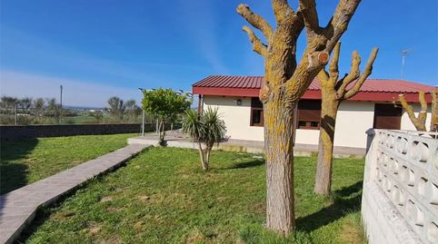 Foto 3 de Casa o xalet de lloguer a Paseo Olmos, 105, Simancas, Valladolid