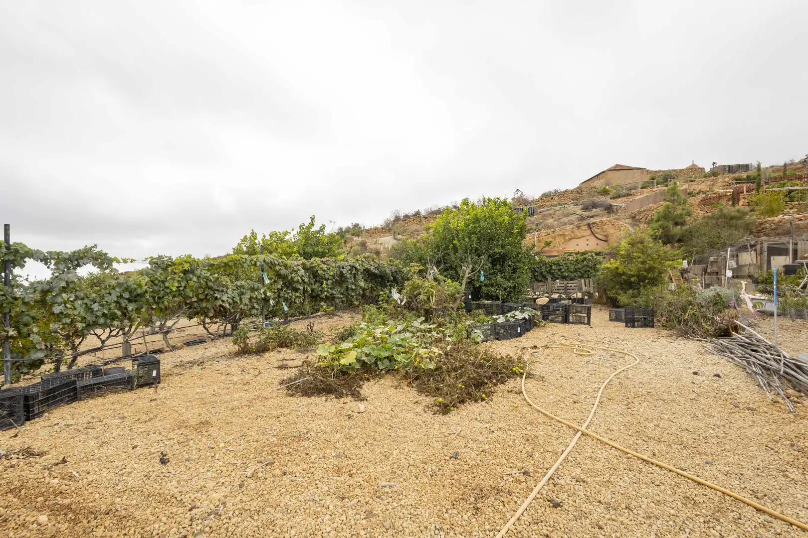 Terreno rustico in vendita a Calle San Bartolomé, imagen 28