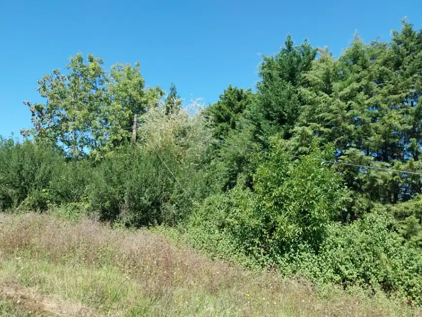 Terrenos y solares en venta en Cotaron, imagen 10