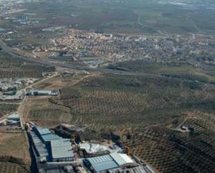 Exterior view of Industrial buildings to rent in Atarfe