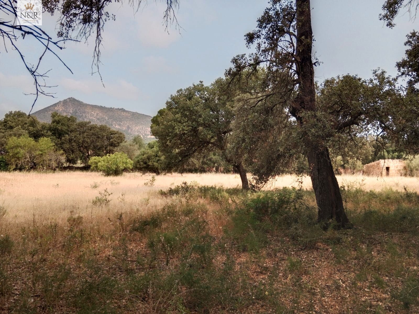 Finca rústica en venda a Centro