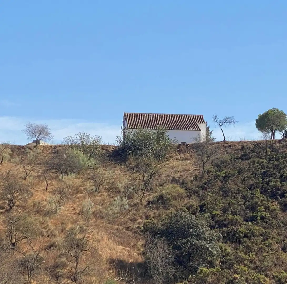 Rural land for sale in Cártama pueblo, imagen 10