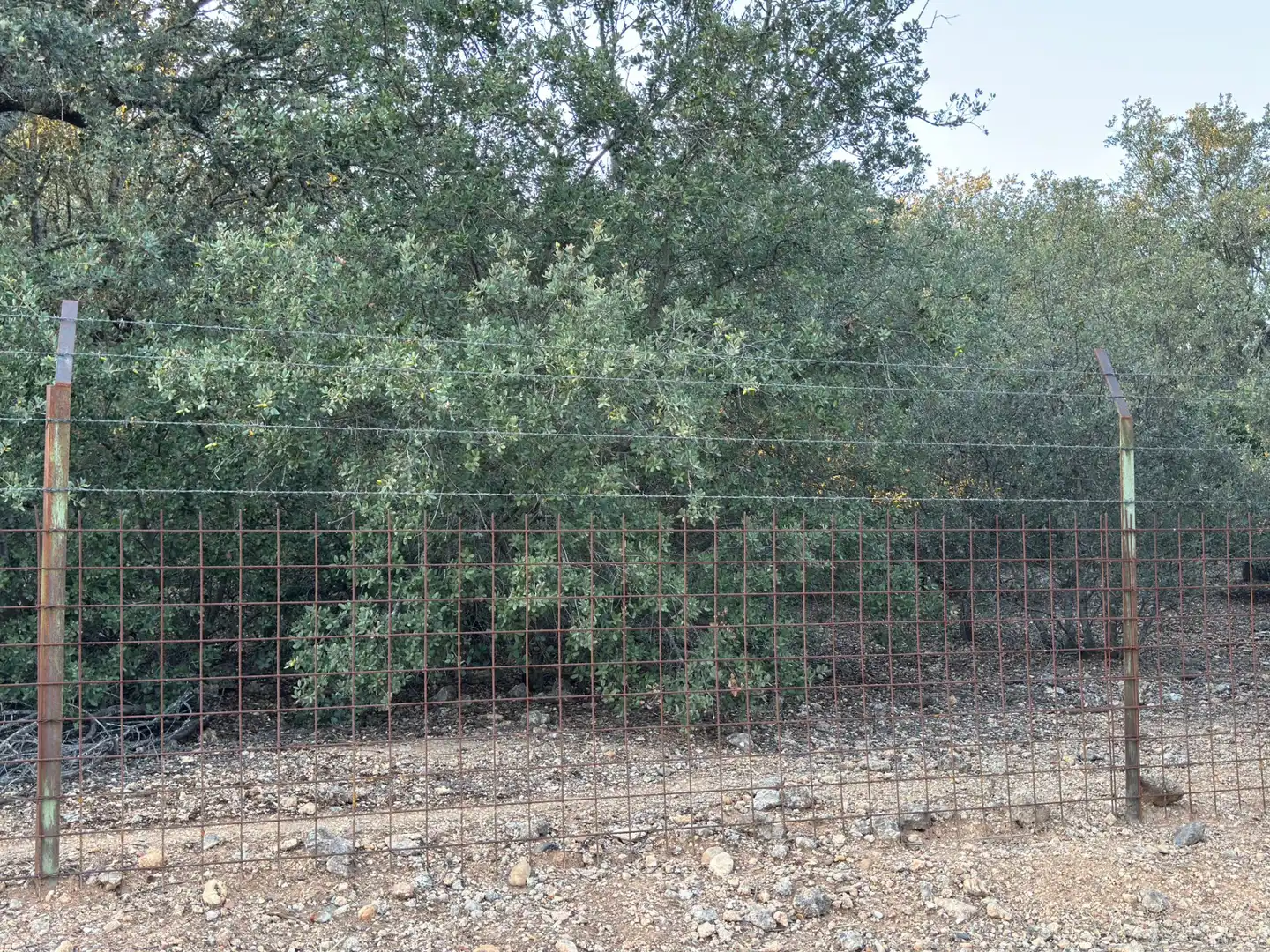Terreno en venta en La Orbada 