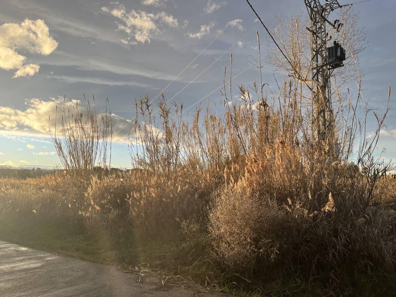 Außenansicht von Grundstücke zur Miete in Alcañiz