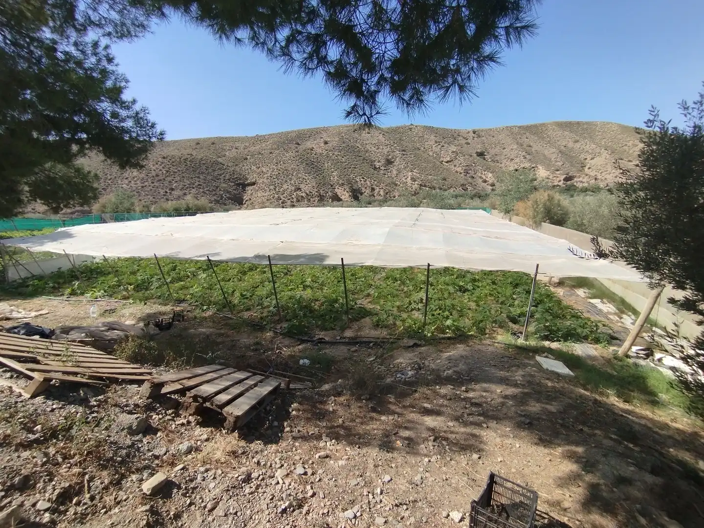 Terreno rustico in vendita a Santa Fe de Mondújar, imagen 34