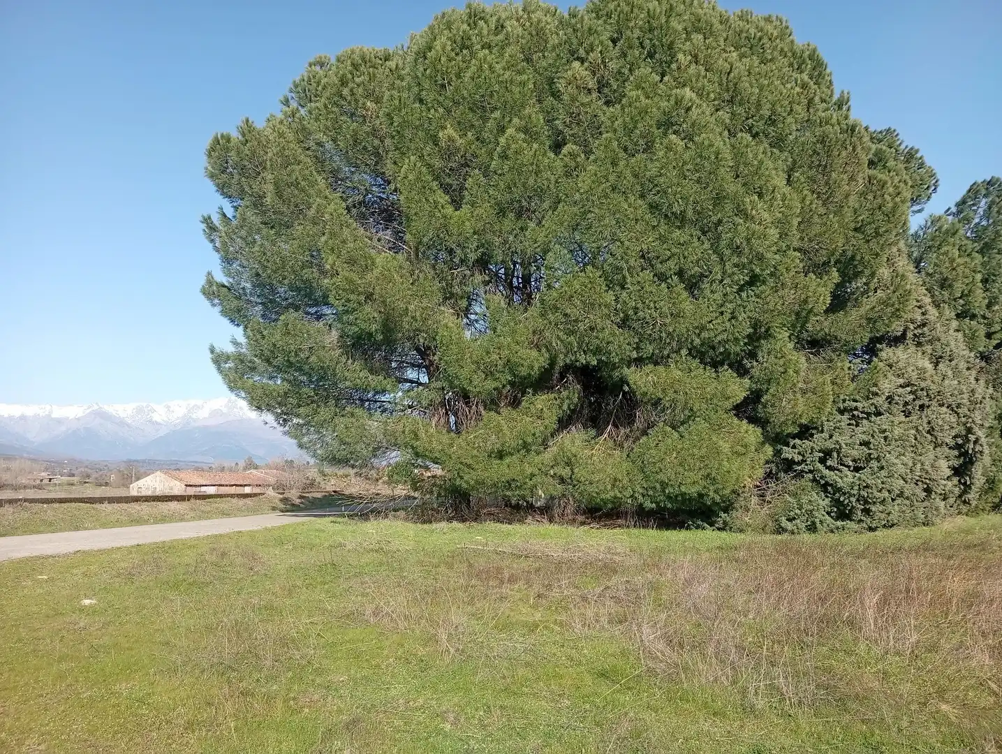 Terreni e lotti in vendita a Villanueva de la Vera, imagen 26