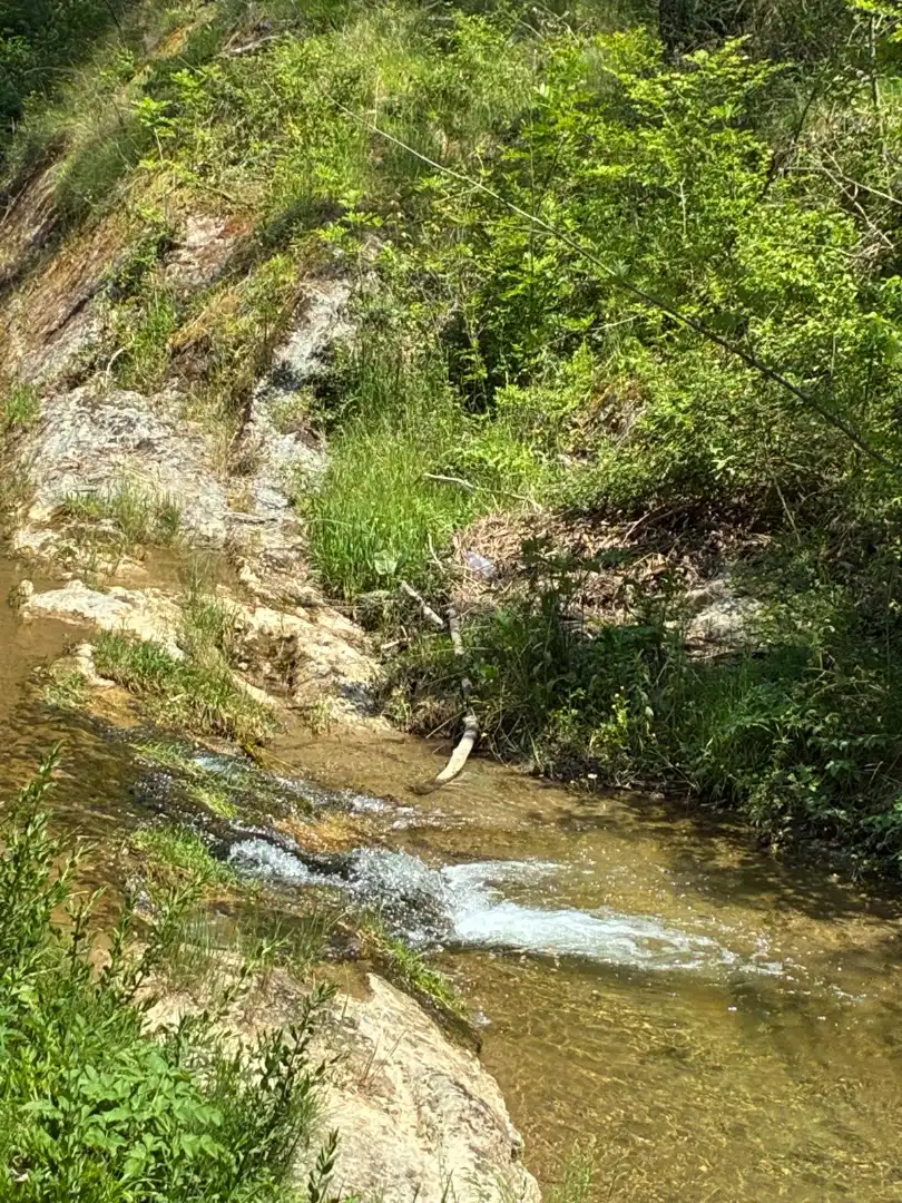 Vista exterior de Finca rústica en venda en Borredà amb Jardí privat, Terrassa i Traster