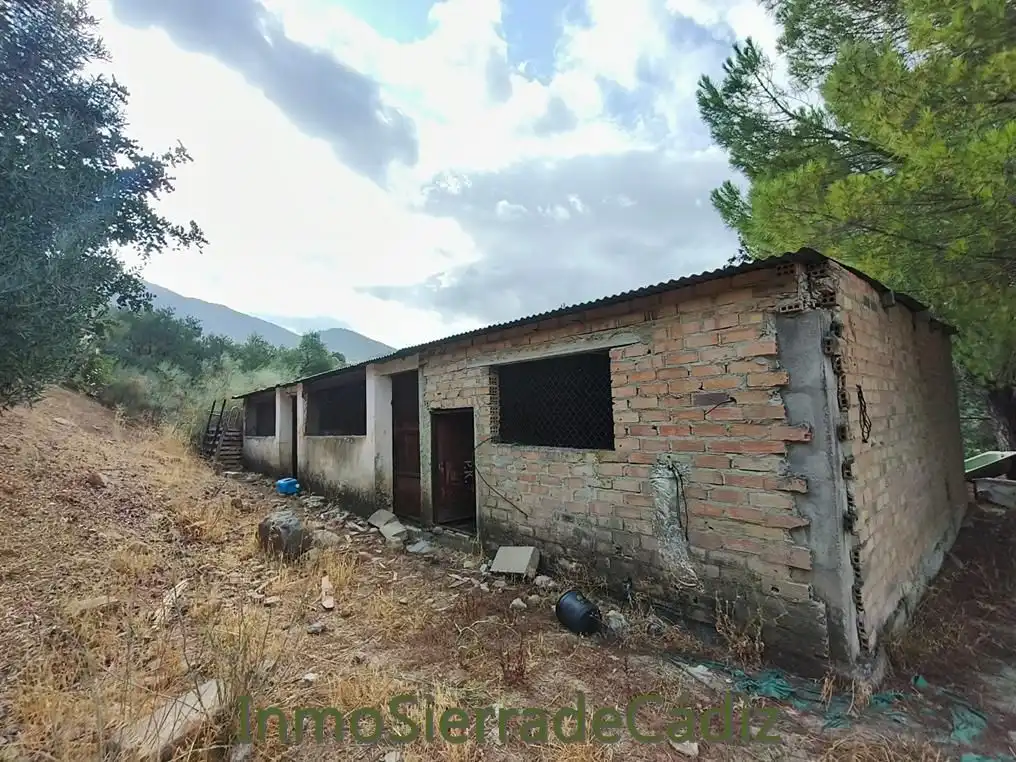 Vista exterior de Finca rústica en venda en Algodonales