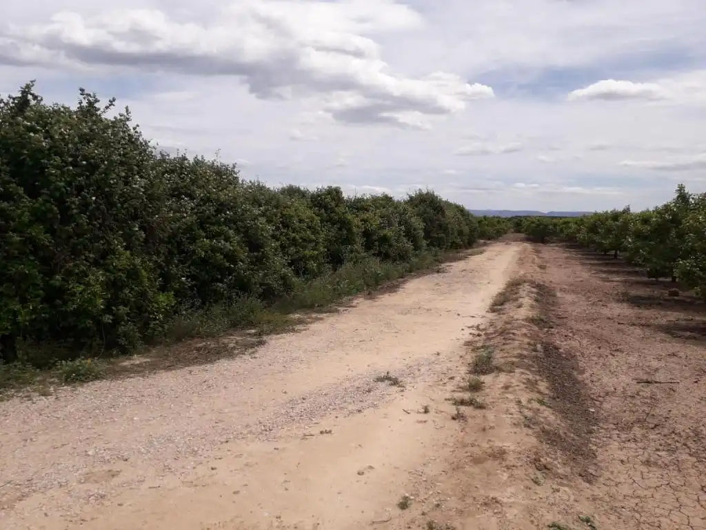 Terrain rustique à vendre à REALENGO, imagen 6