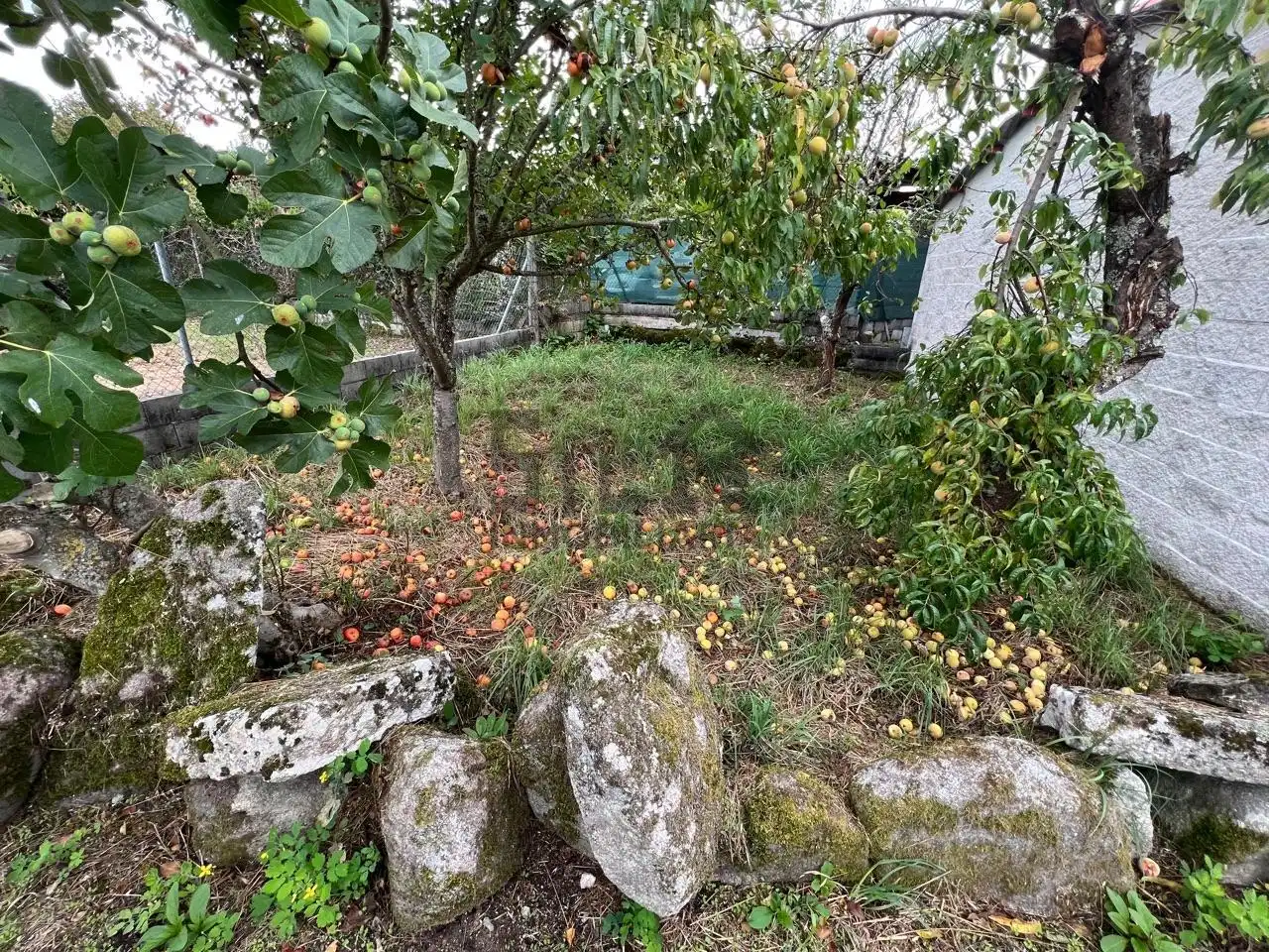 Maison avec jardin à vendre à Paderne de Allariz, imagen 21