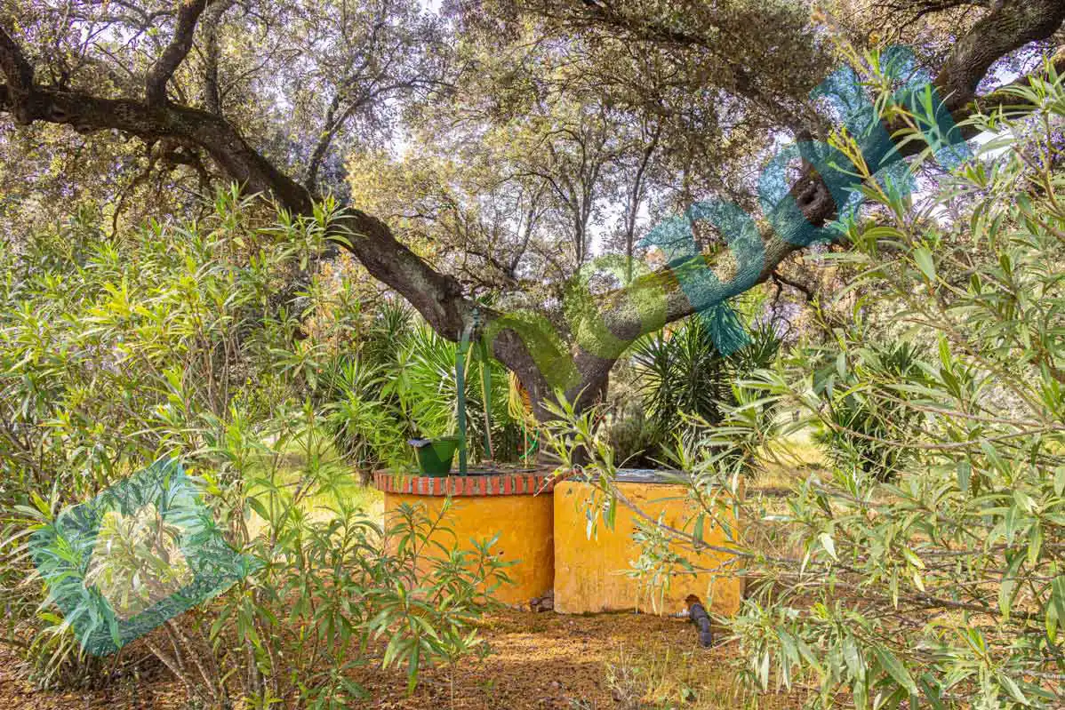 Garten von Haus oder Chalet zum Verkauf in Badajoz mit Klimaanlage und Abstellraum