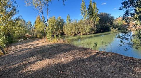 Photo 5 of House or chalet for sale in El Perchel, Ciudad Real