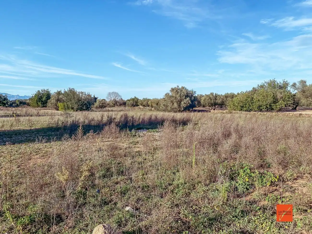 Finca rústica en venta en Santa Bàrbara