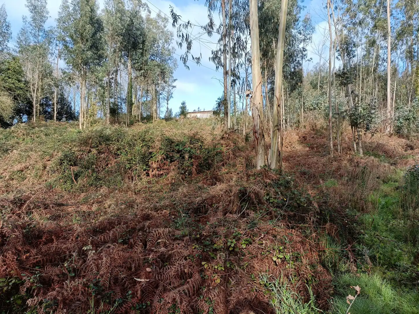 Terrain rustique à vendre à Oza dos Ríos, imagen 8