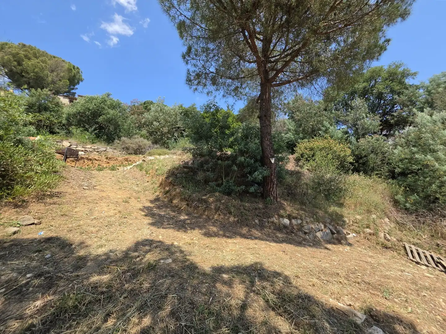 Residential land for sale in de la Selva, imagen 6