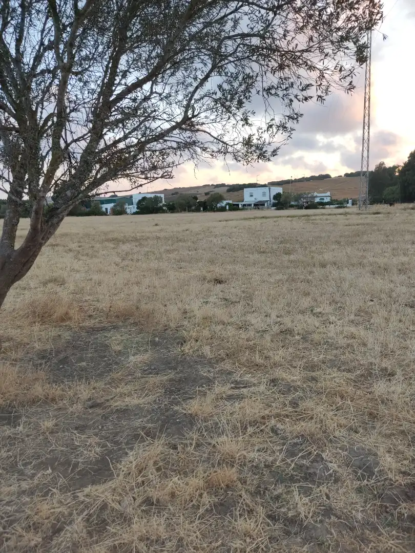Land for sale in Vejer de la Frontera