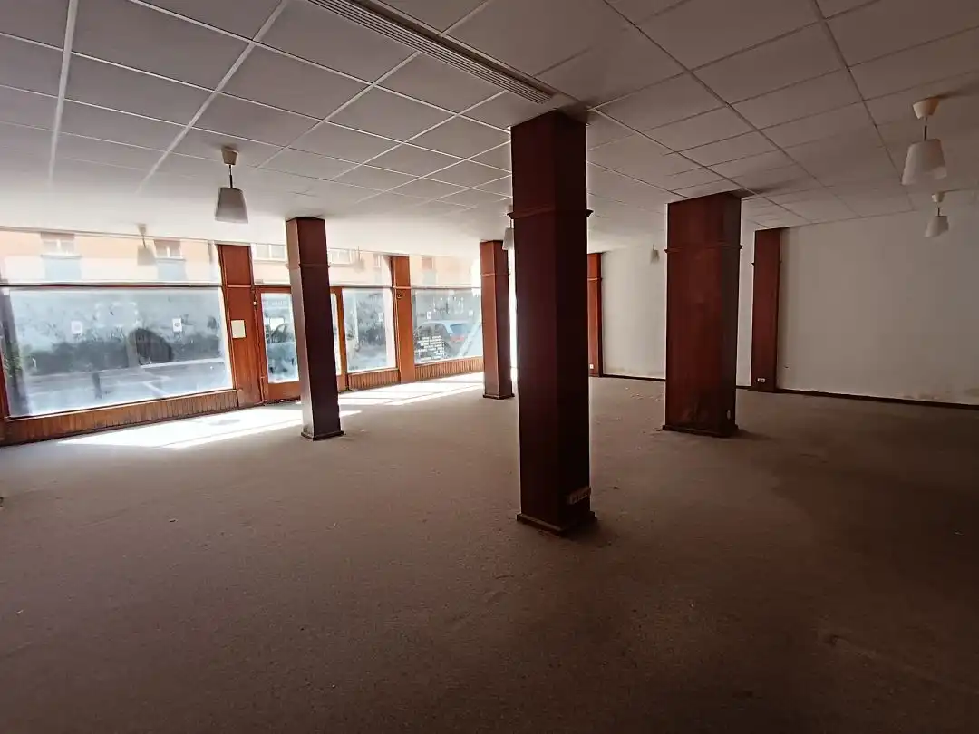 Local commercial à vendre à Zaldibar, imagen 13