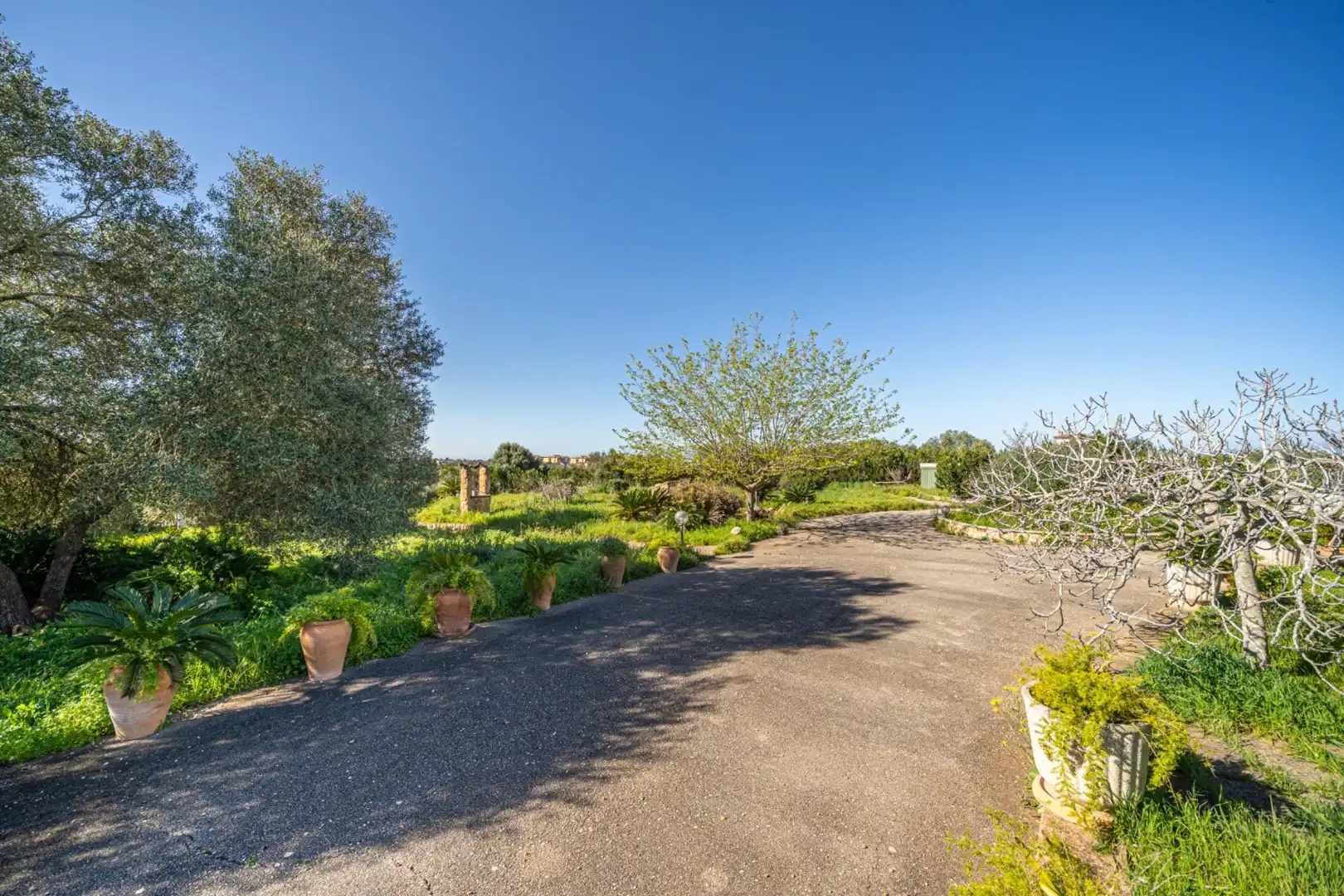 Garten von Grundstücke zum Verkauf in  Palma de Mallorca