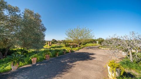 Foto 5 von Grundstücke zum Verkauf in Son Gual, Palma de Mallorca