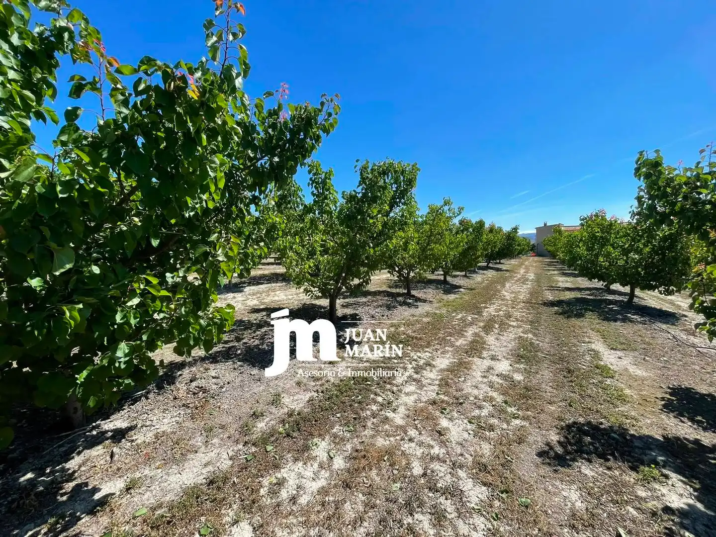 Finca rústica en venta en Cieza con Aire acondicionado, Calefacción y Terraza