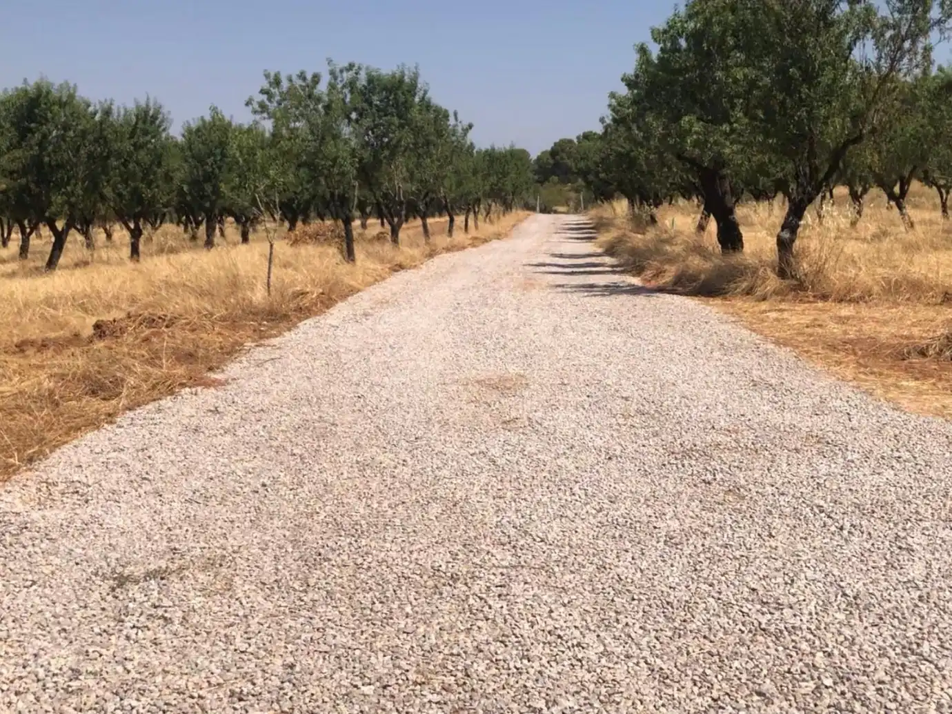 Residencial en venda en Ayora
