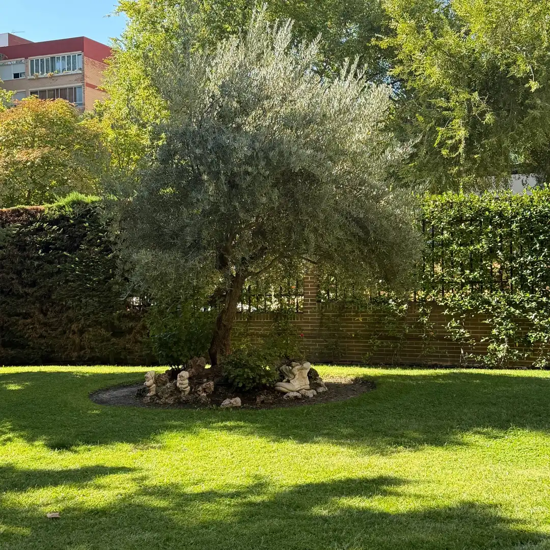 Jardín de Piso en venta en Madrid con Piscina comunitaria