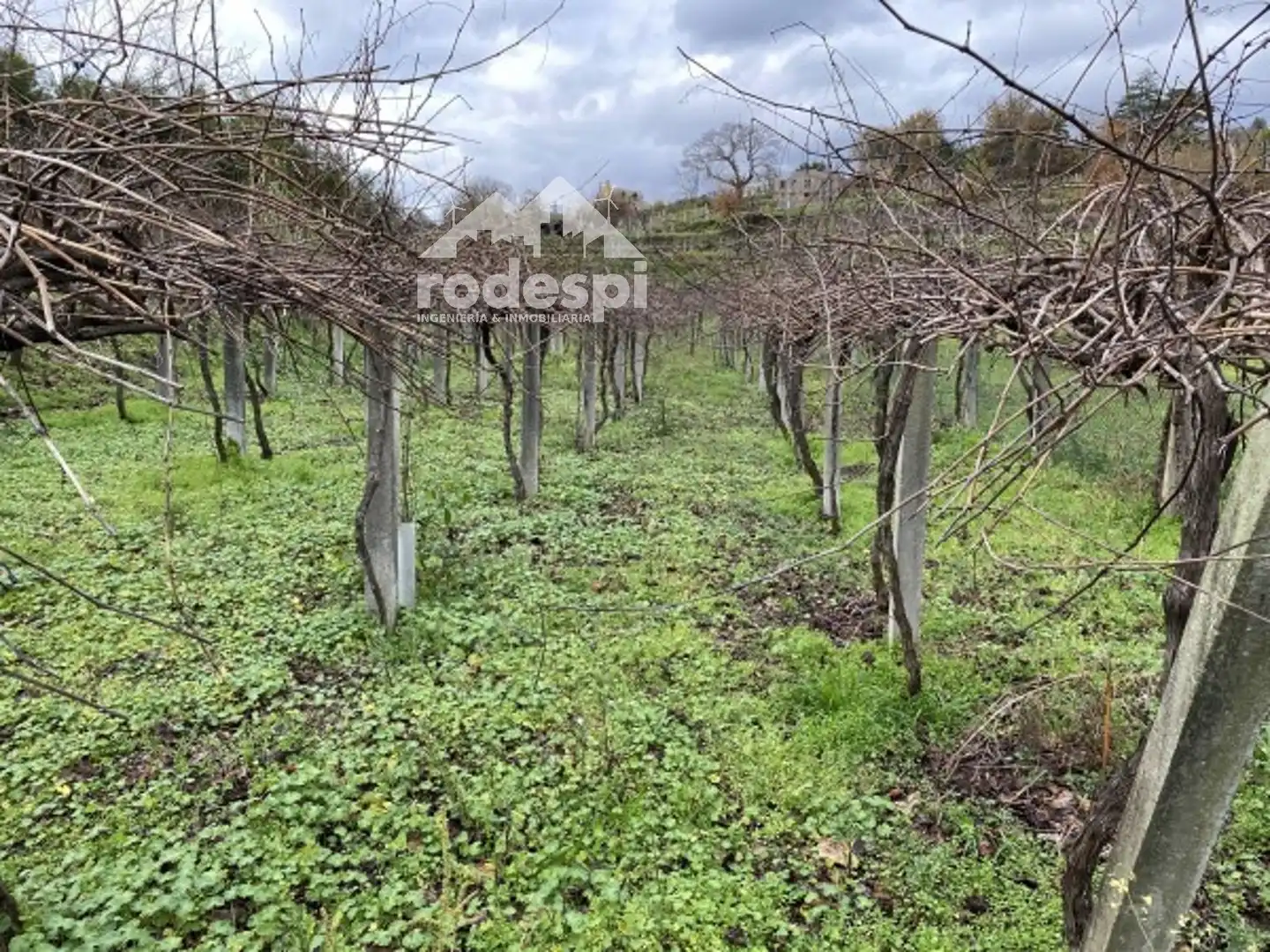 Terreny rústic en venda a A Cañiza, imagen 11