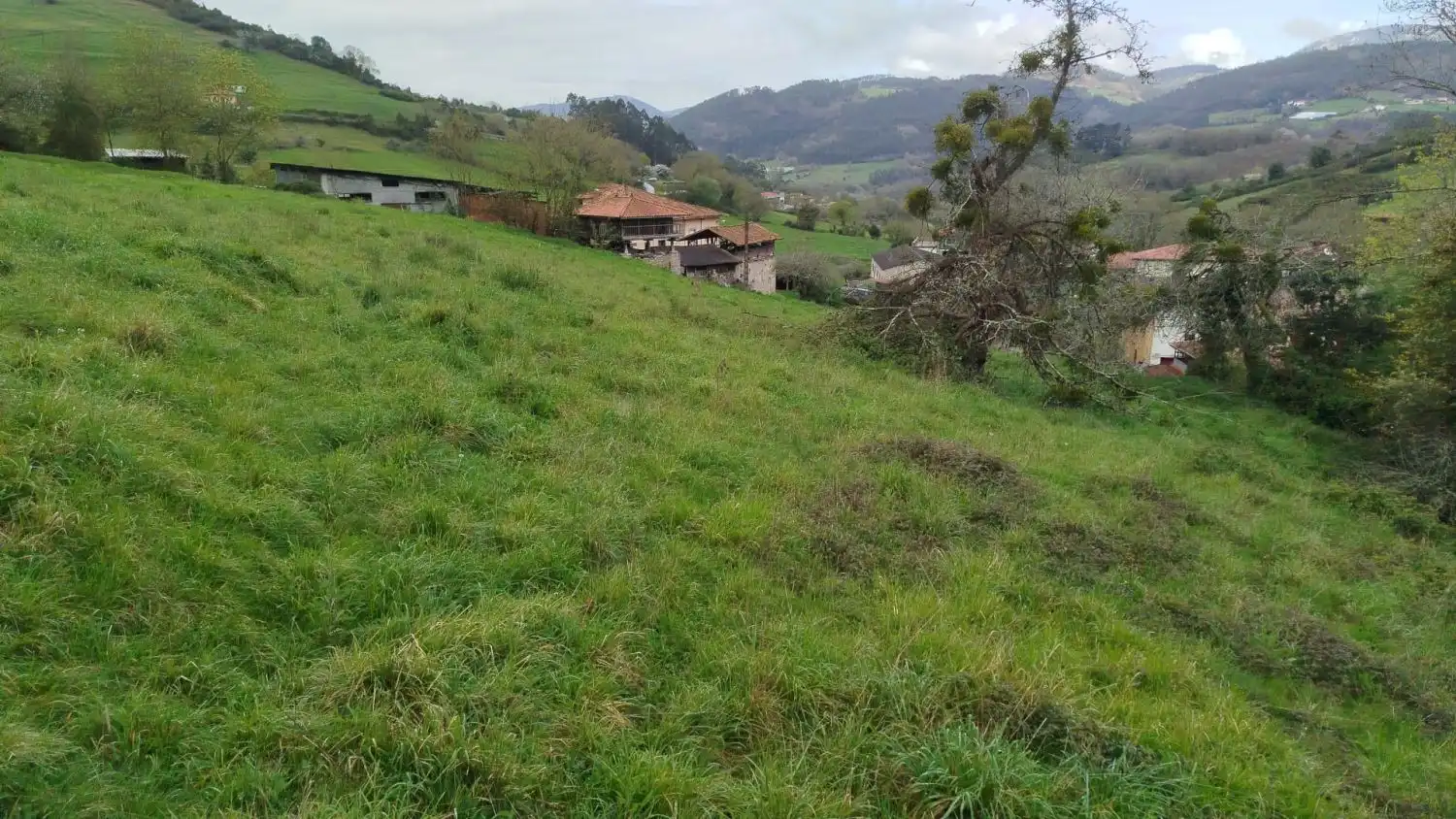 Casa rústica en venta en Salas